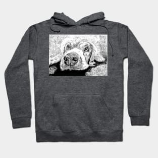 Labrador Hoodie